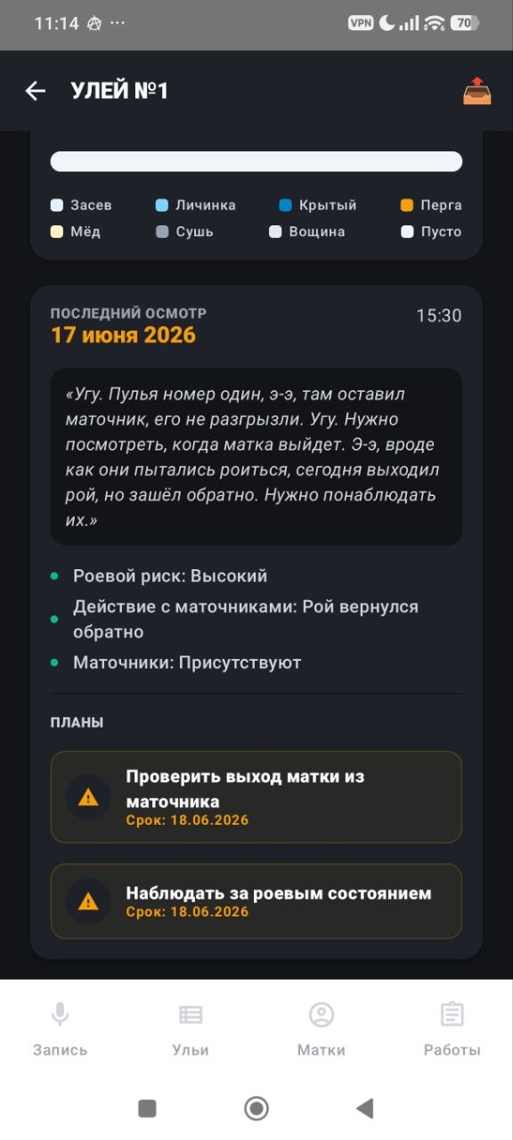 Пример расшифровки голосовой записи